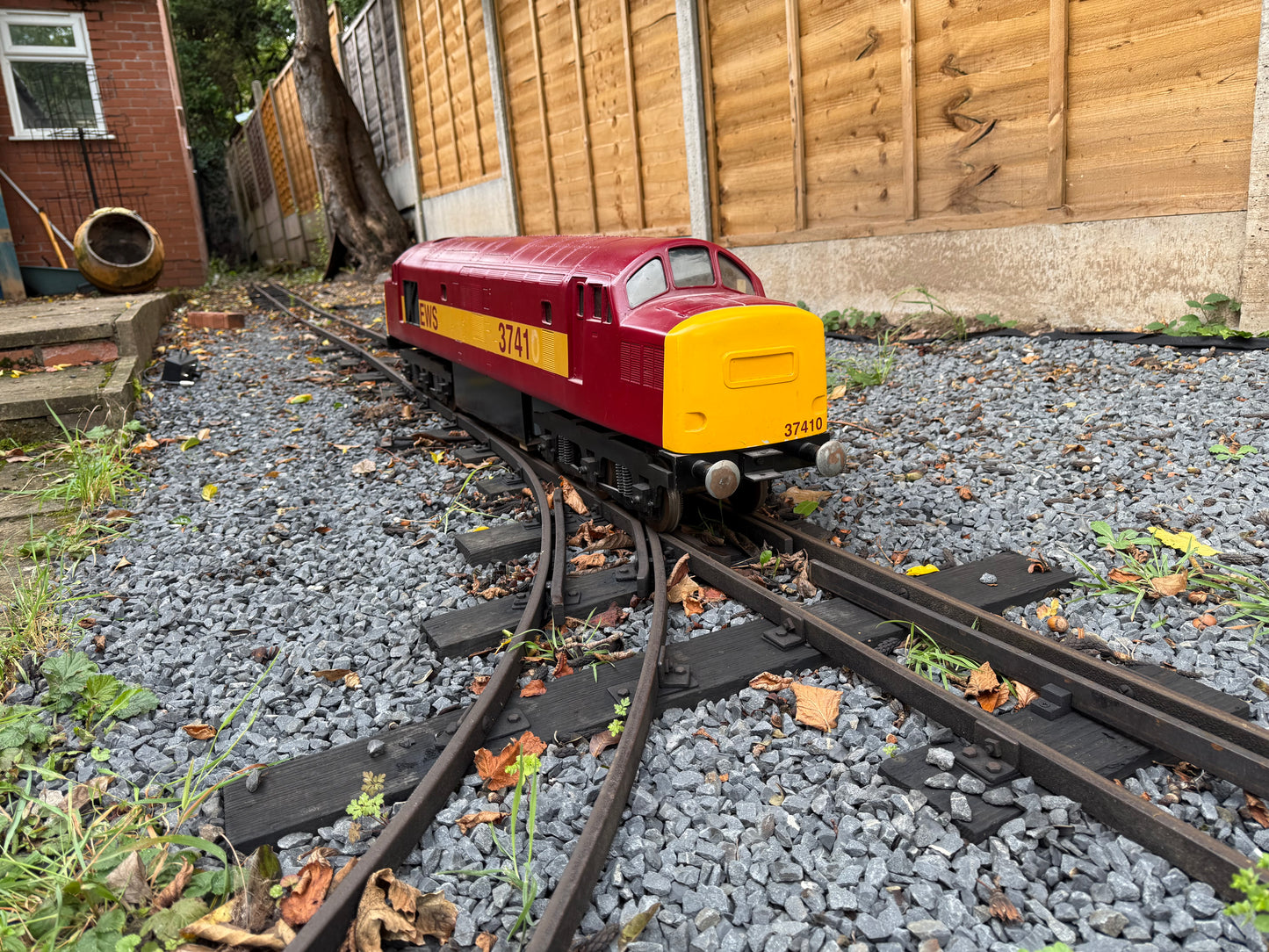5 Inch Gauge Class 37
