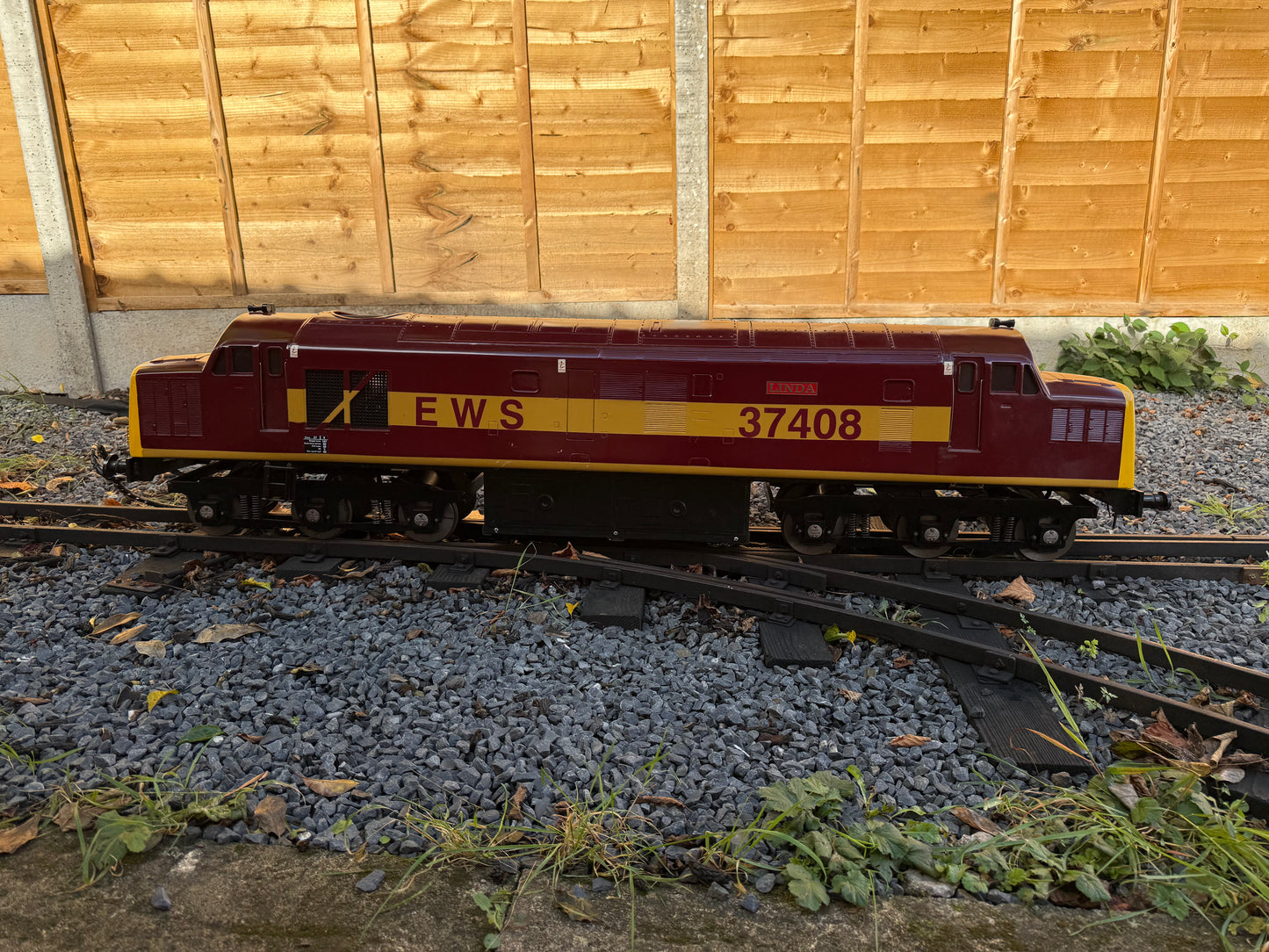 5 Inch Gauge Class 37