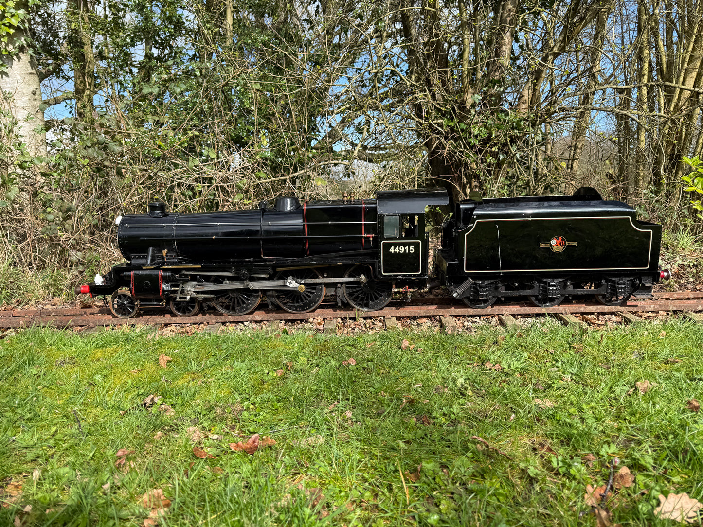 7 1/4” Gauge Black 5
