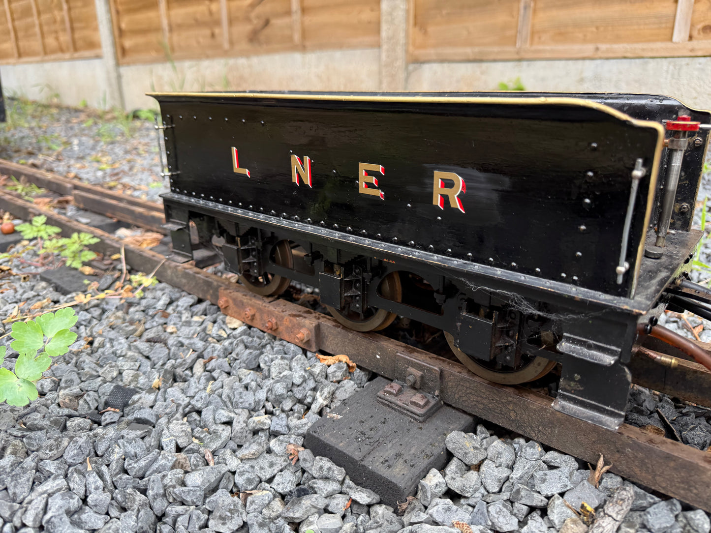 3 1/2” Gauge Netta