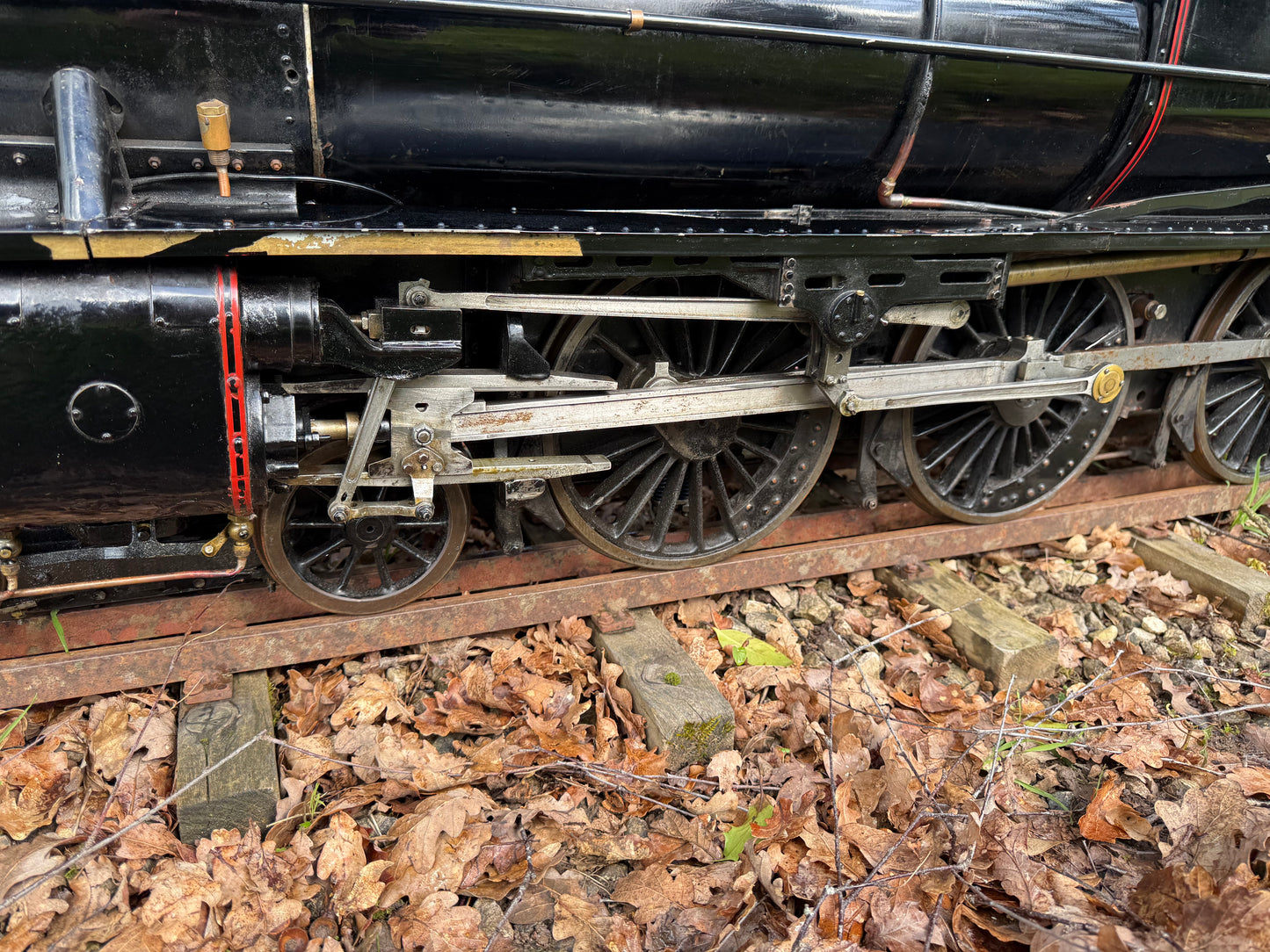 7 1/4” Gauge Black 5