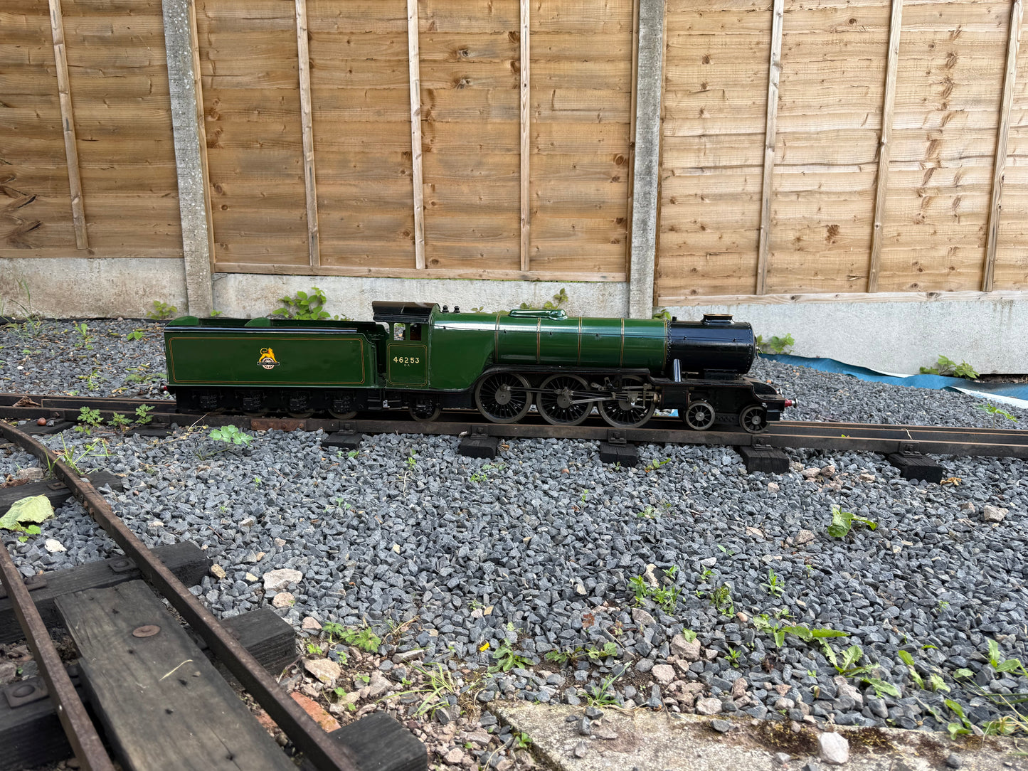 3 1/2” Gauge Hielan Lassie