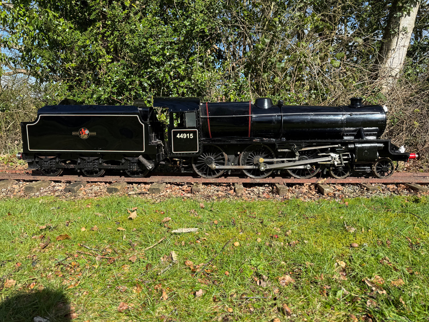 7 1/4” Gauge Black 5
