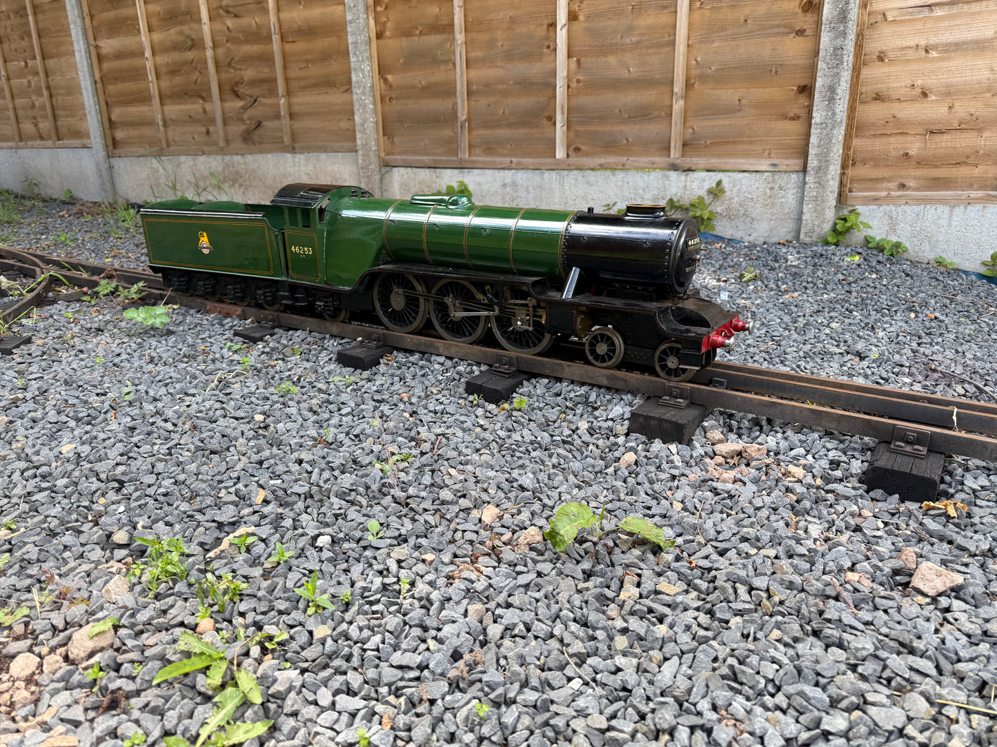 3 1/2” Gauge Hielan Lassie