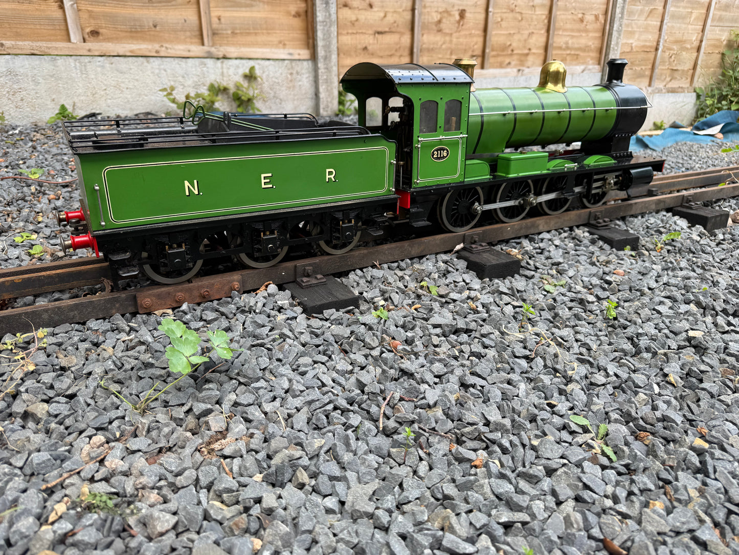 3 1/2” Gauge Netta