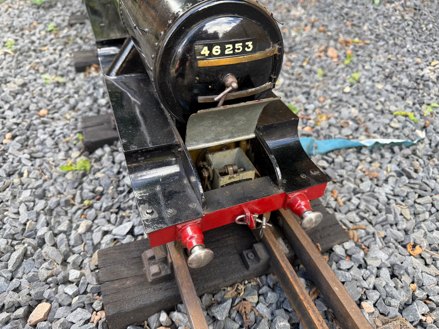 3 1/2” Gauge Hielan Lassie