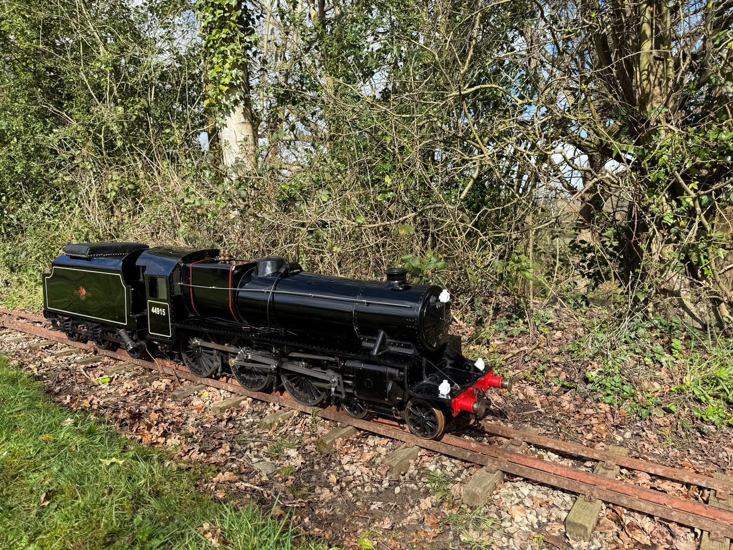 7 1/4” Gauge Black 5