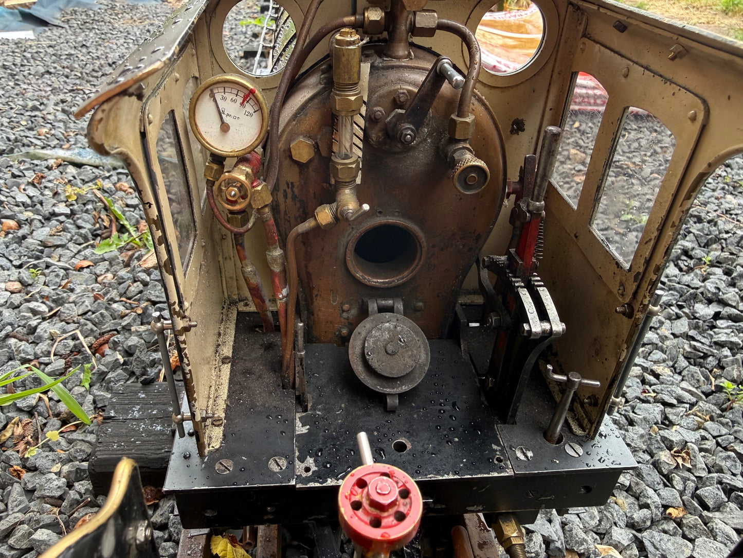 3 1/2” Gauge Netta