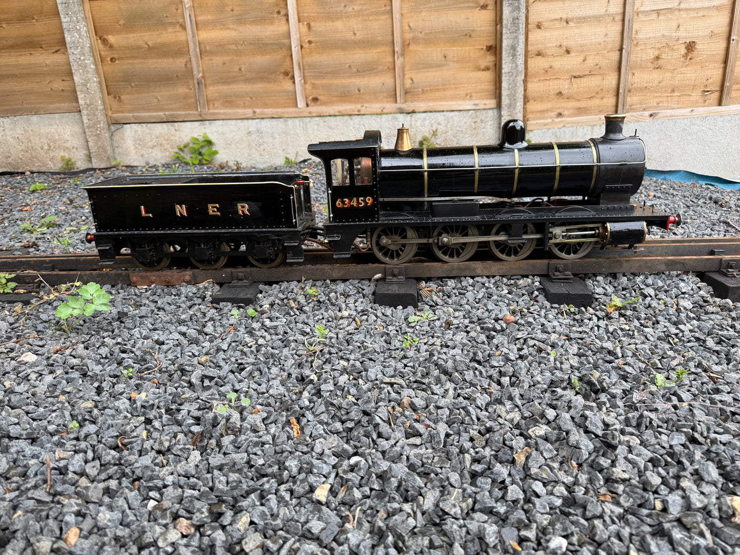 3 1/2” Gauge Netta