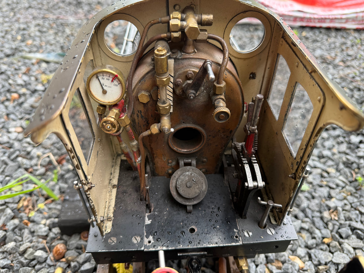 3 1/2” Gauge Netta