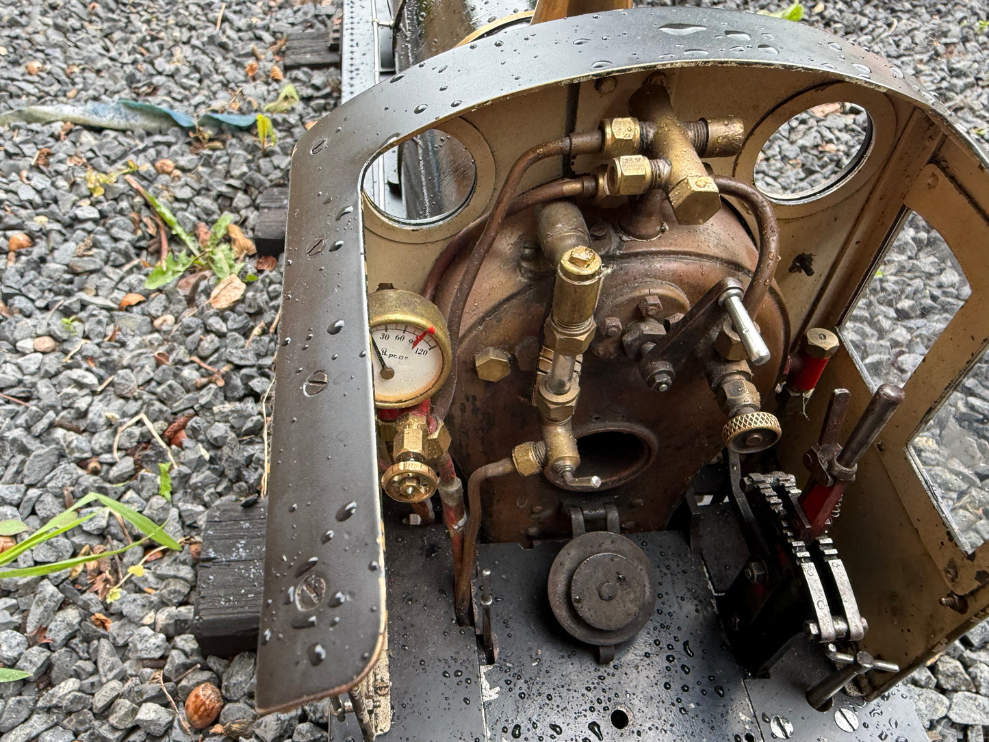 3 1/2” Gauge Netta