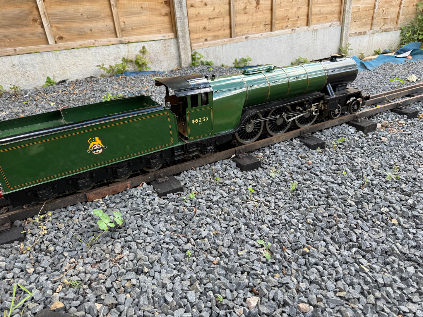 3 1/2” Gauge Hielan Lassie