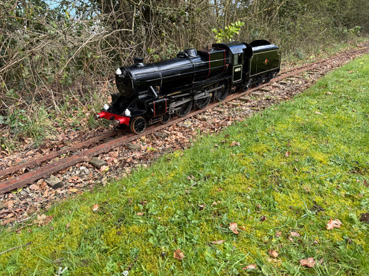 7 1/4” Gauge Black 5