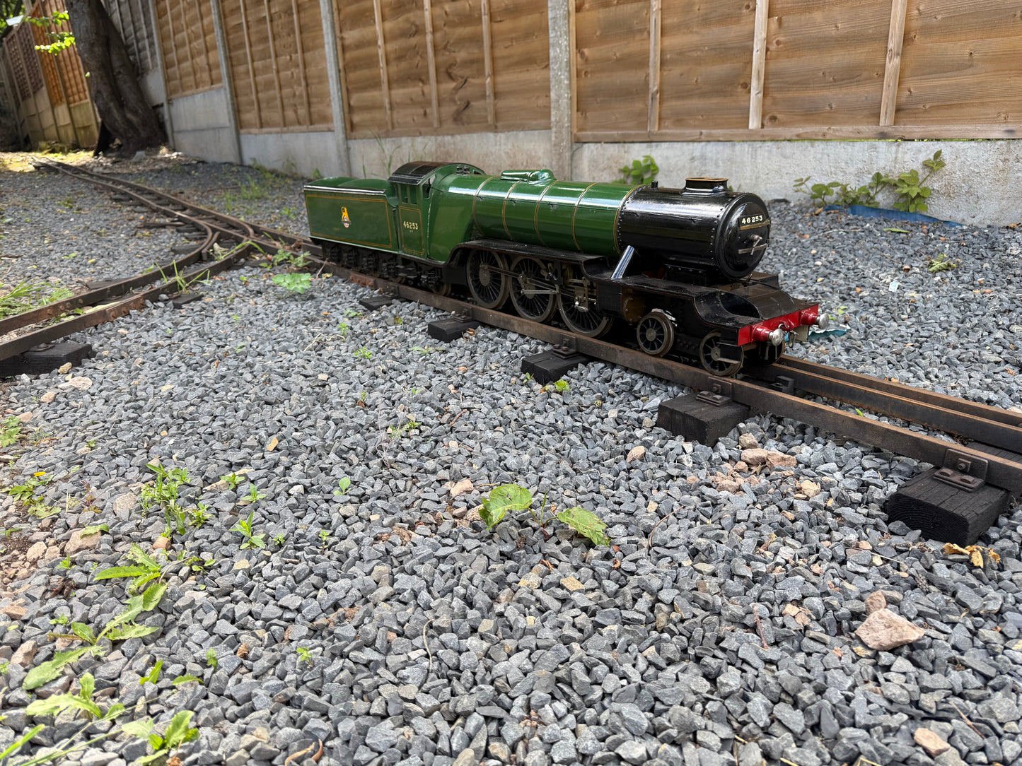 3 1/2” Gauge Hielan Lassie