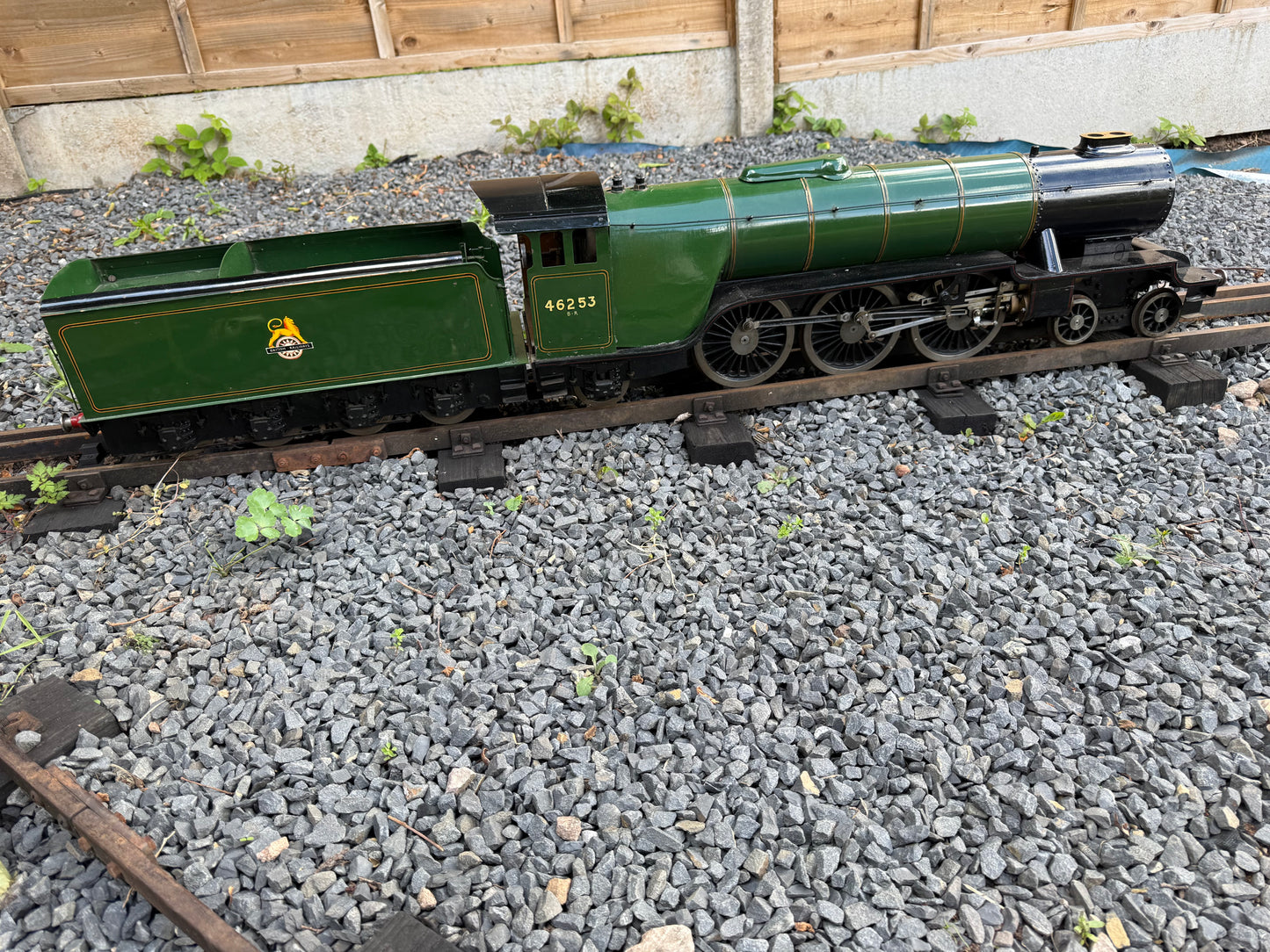 3 1/2” Gauge Hielan Lassie
