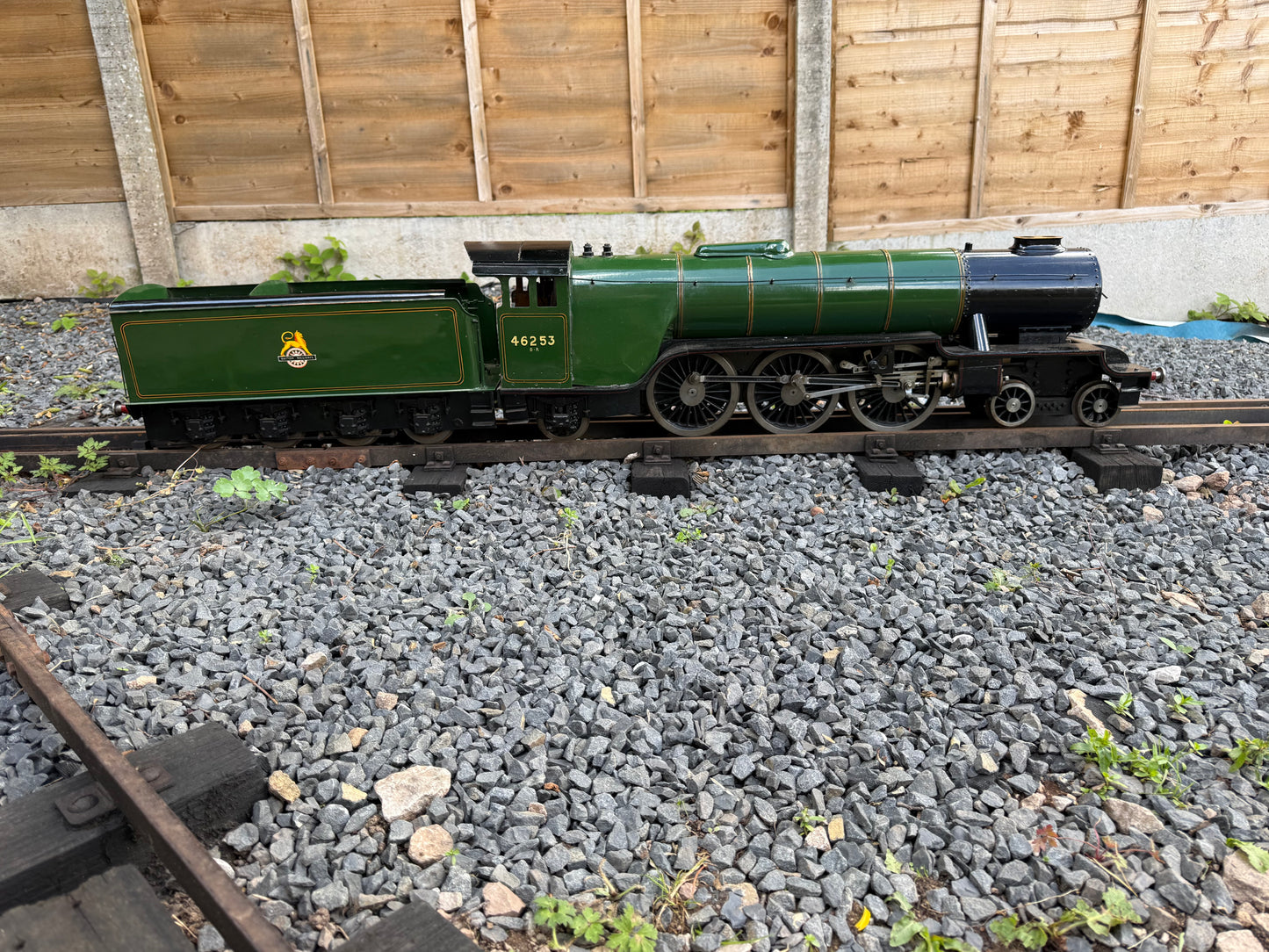 3 1/2” Gauge Hielan Lassie