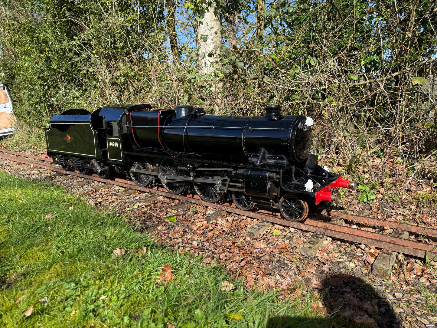 7 1/4” Gauge Black 5