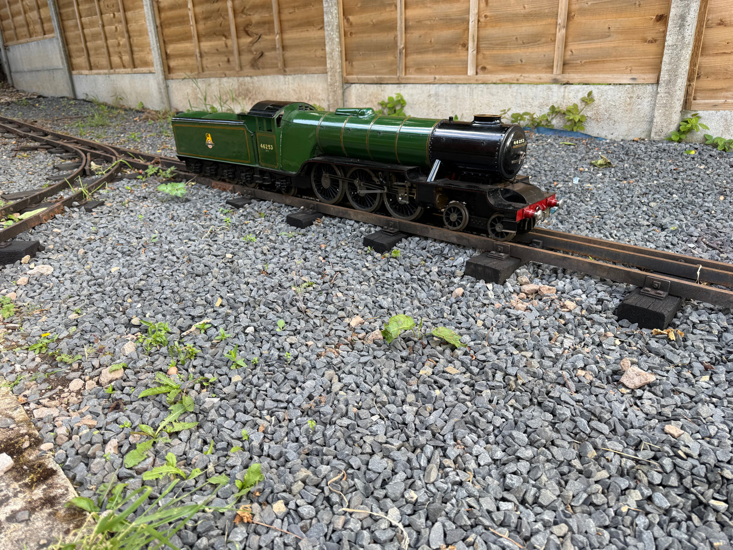 3 1/2” Gauge Hielan Lassie