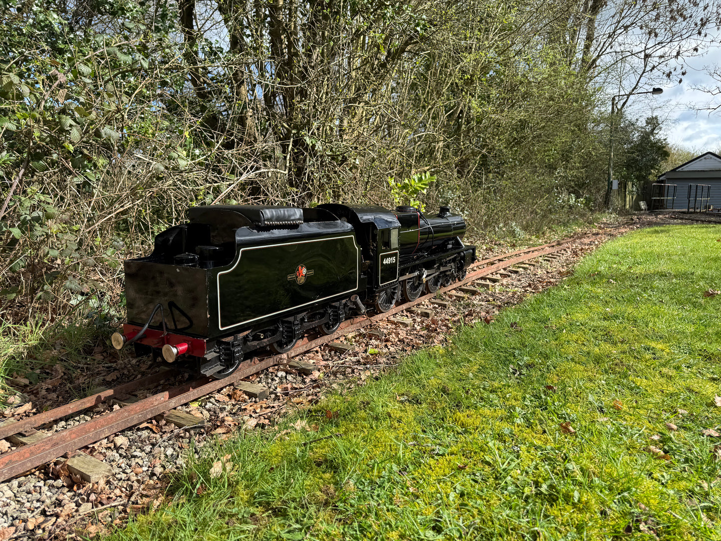 7 1/4” Gauge Black 5
